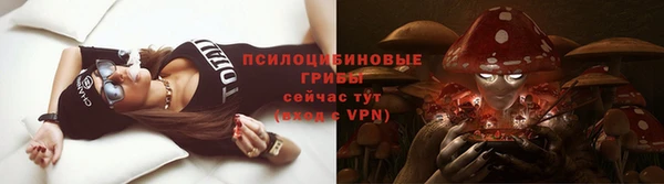 apvp Алзамай