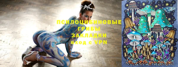 apvp Алзамай