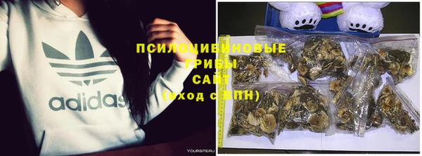 таблы Алексеевка
