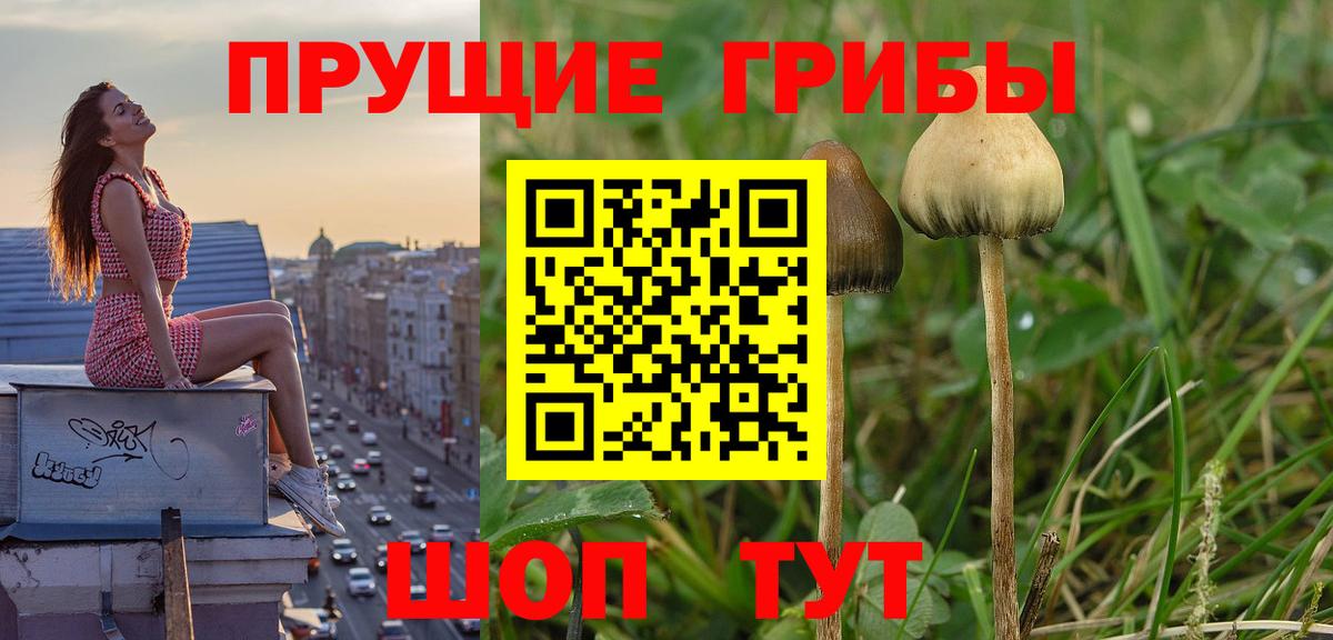 Галлюциногенные грибы Cubensis  Галлюциногенные грибы Psilocybe  Богородск  Вход с VPN 