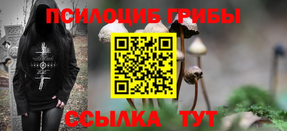Псилоцибиновые грибы Psilocybe Богородск